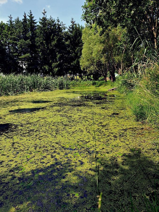 Appartamento Zielona Samotnia Czaplinek Esterno foto
