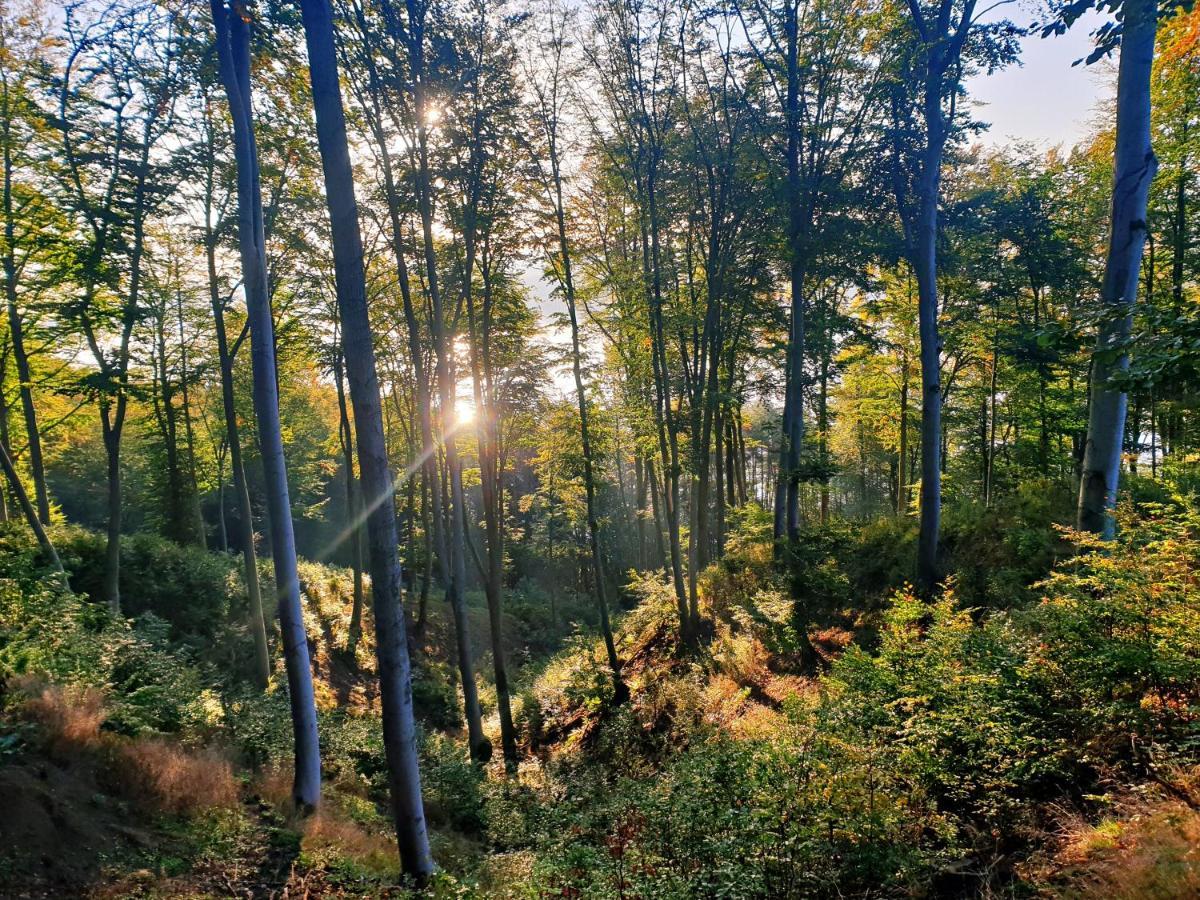 Appartamento Zielona Samotnia Czaplinek Esterno foto