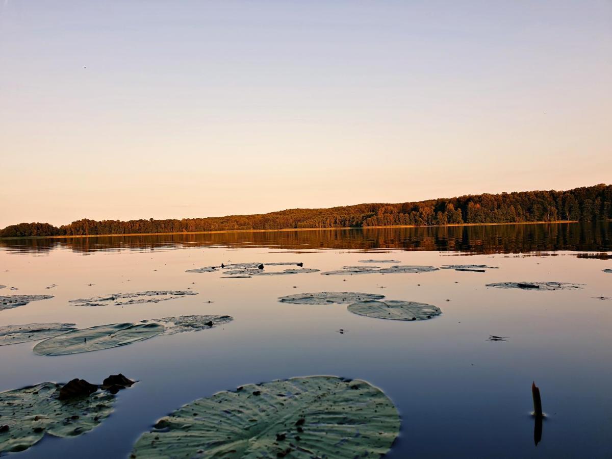 Appartamento Zielona Samotnia Czaplinek Esterno foto