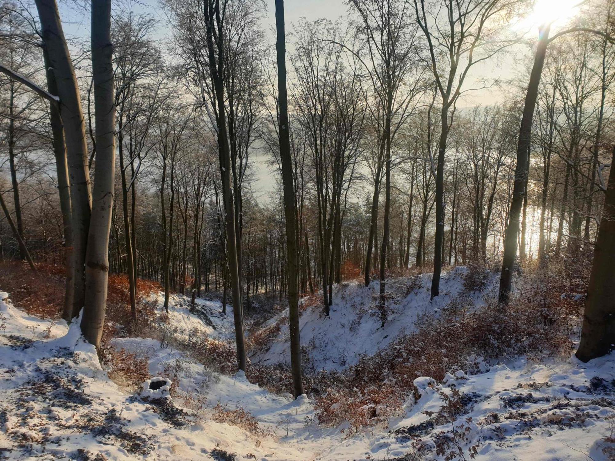 Appartamento Zielona Samotnia Czaplinek Esterno foto